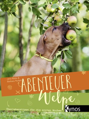 cover image of Abenteuer Welpe